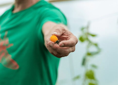 katalys employer branding campagne 1 486x350 1