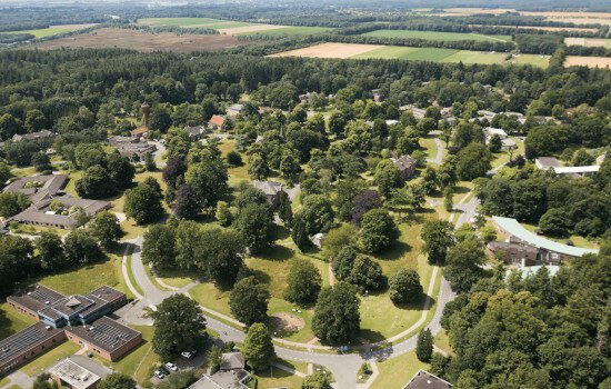 recruitment marketing verpleegkundigen pyschiatrie 551x350 1