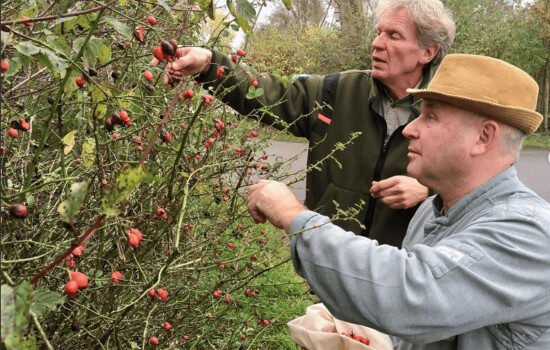 Vacaturecampagne Boerkok Chefkok 3 wervingscampagne horeca chefkok werven 551x350 1